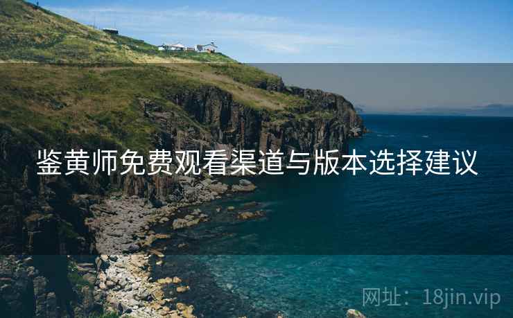鉴黄师免费观看渠道与版本选择建议 第1张 鉴黄师免费观看渠道与版本选择建议 第1张