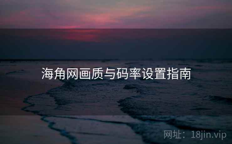 海角网画质与码率设置指南  第2张
