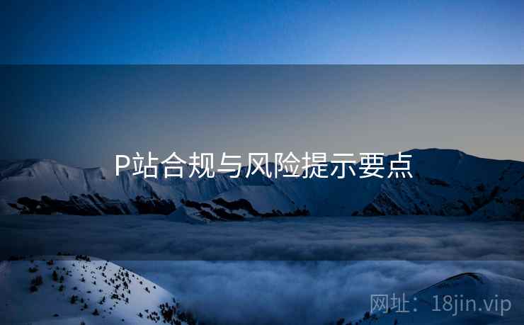 P站合规与风险提示要点  第2张