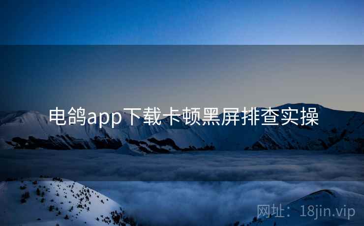 电鸽app下载卡顿黑屏排查实操  第2张