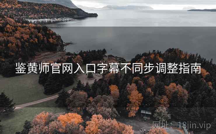 鉴黄师官网入口字幕不同步调整指南  第2张
