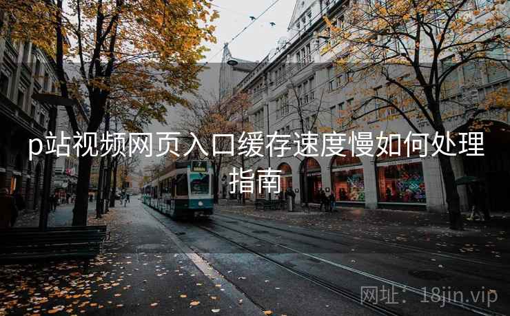 p站视频网页入口缓存速度慢如何处理指南 第1张 p站视频网页入口缓存速度慢如何处理指南 第1张