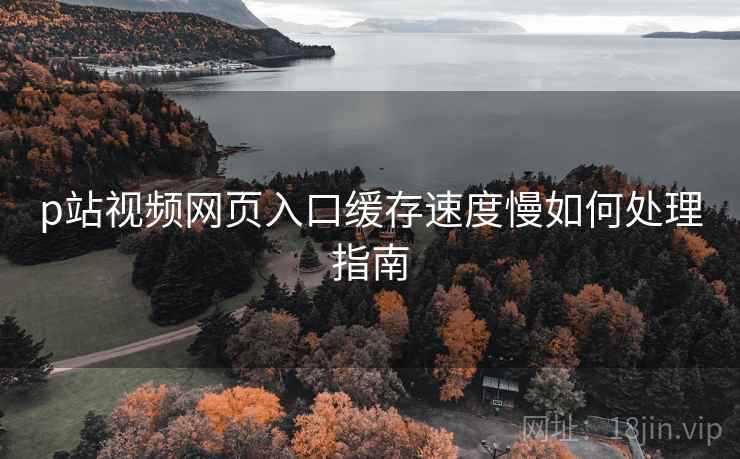 p站视频网页入口缓存速度慢如何处理指南 第2张 p站视频网页入口缓存速度慢如何处理指南 第2张