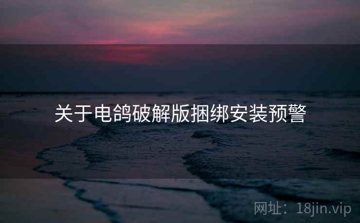 关于电鸽破解版捆绑安装预警 第2张 关于电鸽破解版捆绑安装预警 第2张