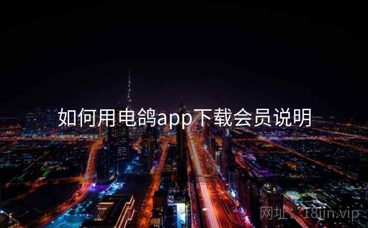 如何用电鸽app下载会员说明 第2张 如何用电鸽app下载会员说明 第2张